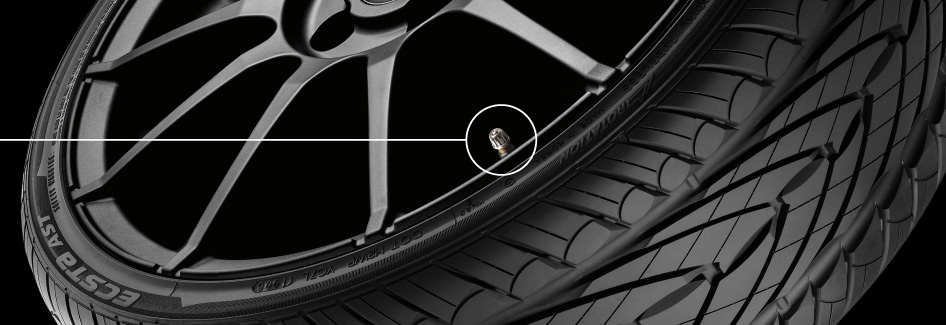 banner pagina foglia tpms